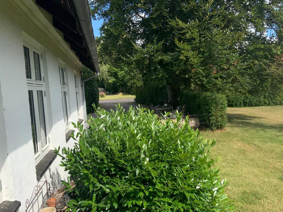 Den Gamle Apotekergaard Bed & Breakfast Hong Exterior photo