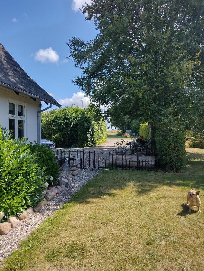 Den Gamle Apotekergaard Bed & Breakfast Hong Exterior photo